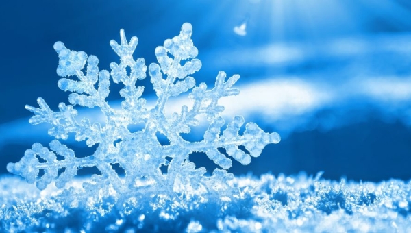 Le programme des mercredis de janvier à février 2026